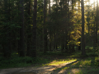 Similar image 21635666