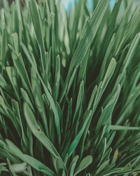 Similar image 21635668