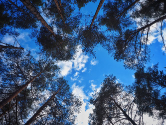 Similar image 21635670