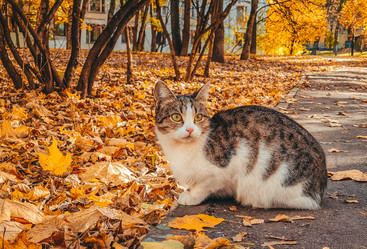 Similar image 21635671