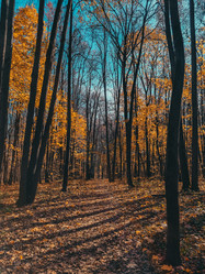 Similar image 21635673