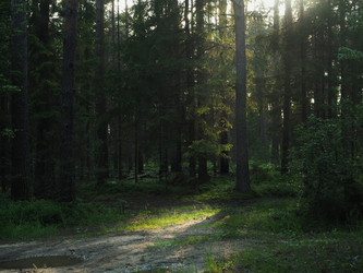 Similar image 21635674