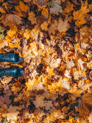 Similar image 21635675