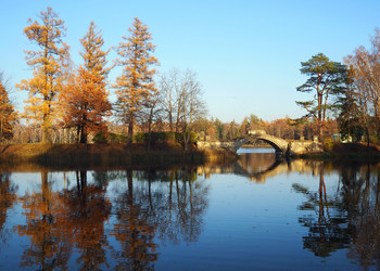 Similar image 21635679