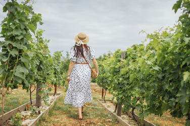 Similar image 21638420