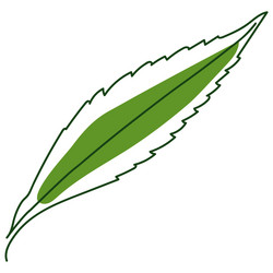 Similar image 21636505