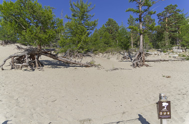 Similar image 21636507