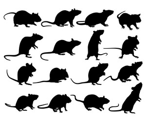 Similar image 21636509