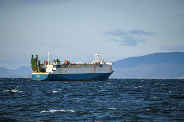 Similar image 21636515