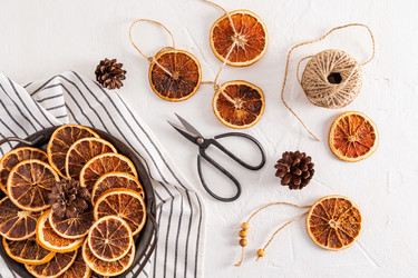 Similar image 21636309