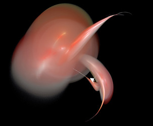 Similar image 21637858