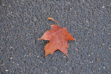 Similar image 21637717