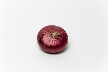 Similar image 21637736