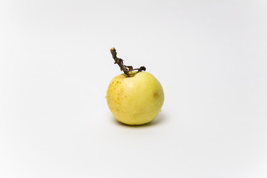 Similar image 21637737