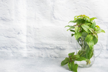 Similar image 21636387