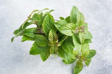 Similar image 21636389