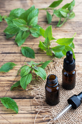 Similar image 21636529