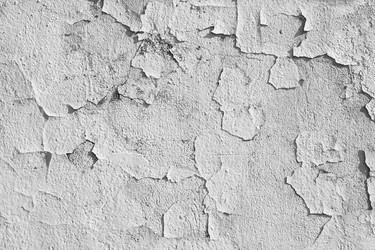 Similar image 21636544