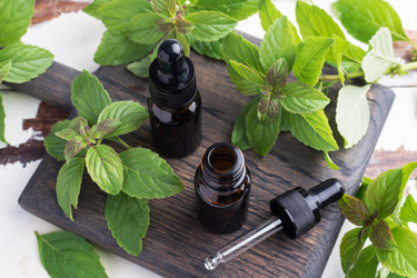 Similar image 21636552