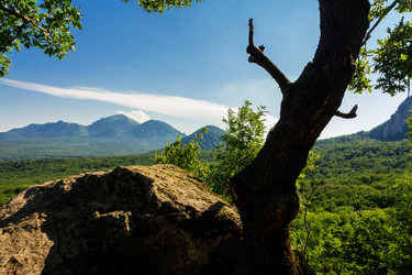 Similar image 21637516