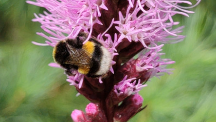 Similar image 21637932