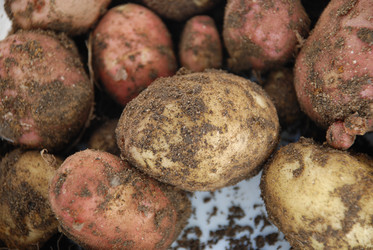 Similar image 21637933