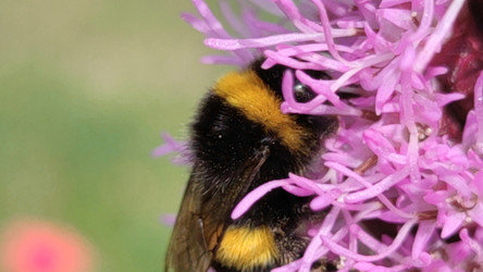 Similar image 21637934