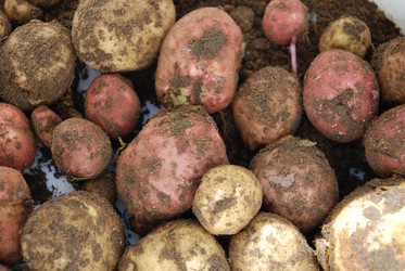 Similar image 21637937