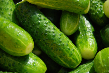 Similar image 21637938