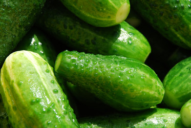 Similar image 21637939