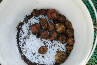 Similar image 21637941