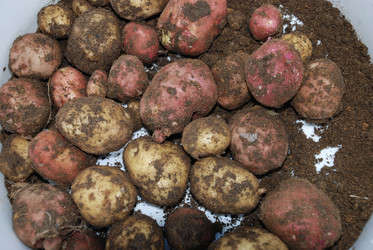 Similar image 21637942