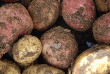 Similar image 21637944