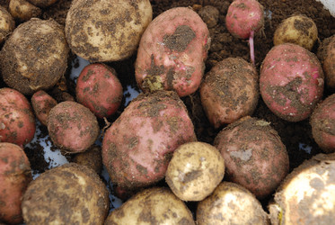 Similar image 21637945