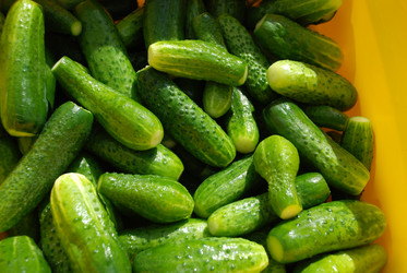 Similar image 21637946