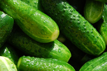 Similar image 21637947