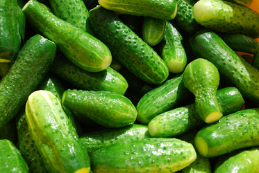 Similar image 21637948