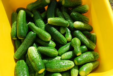 Similar image 21637949