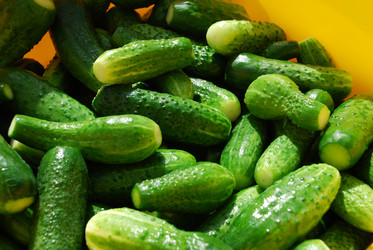 Similar image 21637950