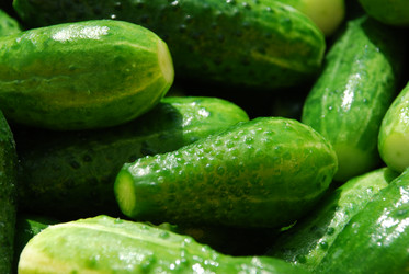 Similar image 21637951