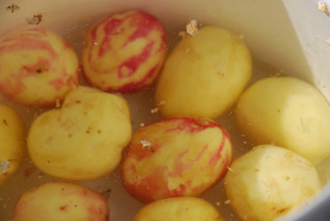 Similar image 21637953