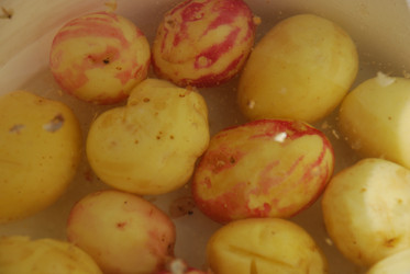 Similar image 21637954