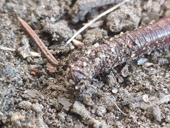 Similar image 21637956