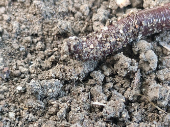 Similar image 21637958