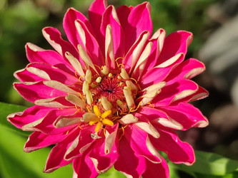 Similar image 21637960