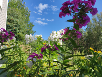 Similar image 21637962