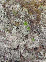 Similar image 21637980