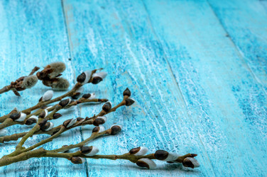 Similar image 21645471