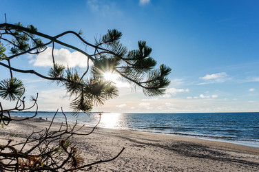 Similar image 21645610