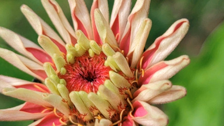 Similar image 21637982